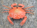 Krab na diaľkové ovládanie, oranžová