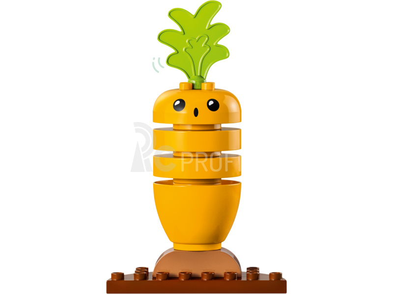 LEGO DUPLO - Bio záhrada