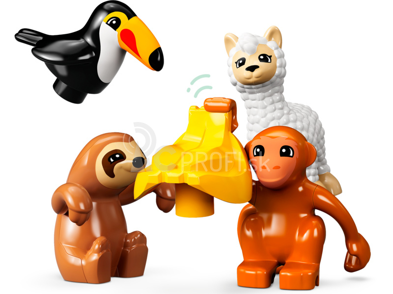 LEGO DUPLO - Divoké zvieratá Južnej Ameriky
