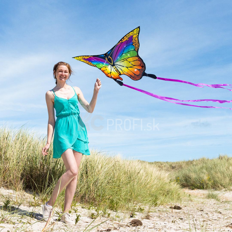 Lietajúci šarkan dúhový motýľ