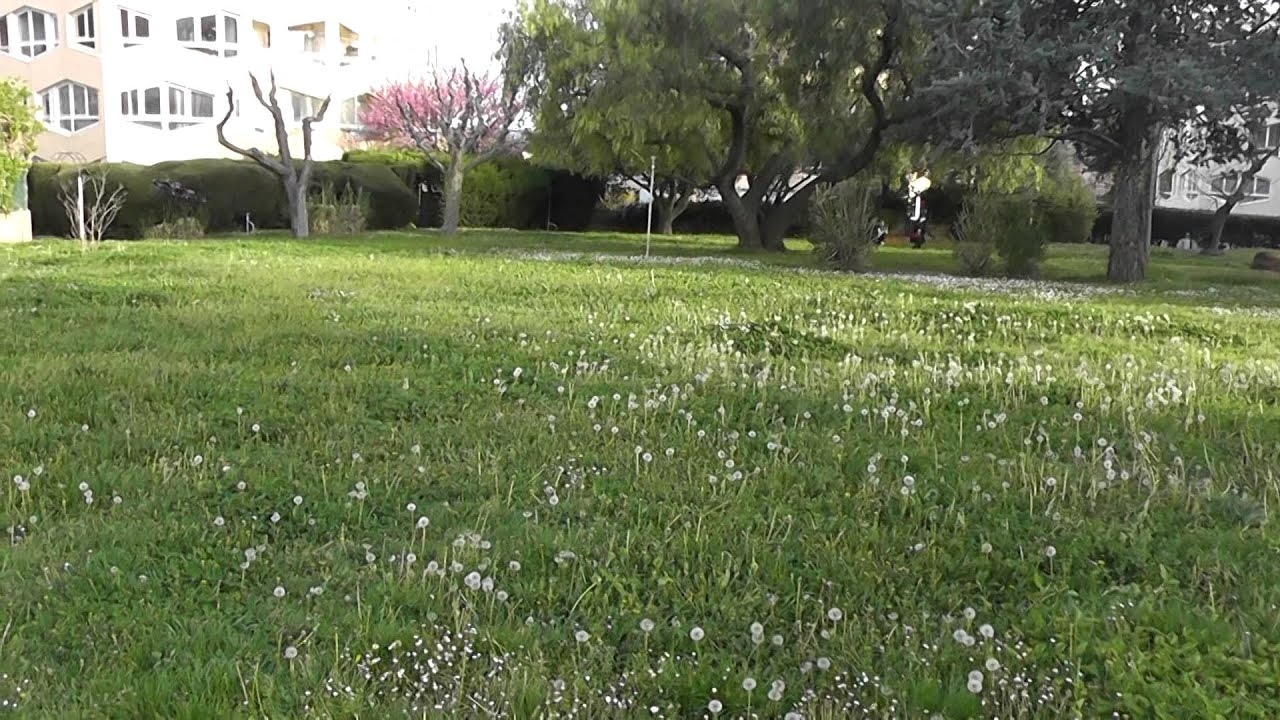 RC kvadrokoptéra žltá Sky King