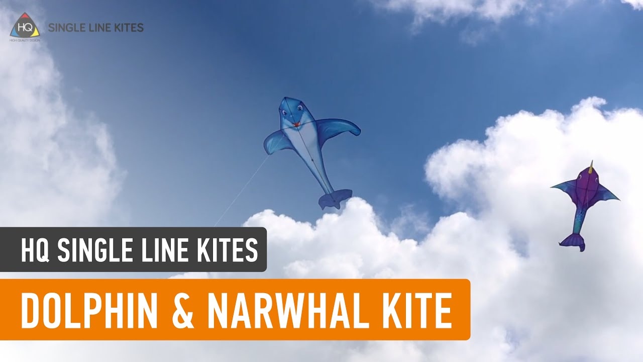 Lietajúci šarkan Dolphin Kite