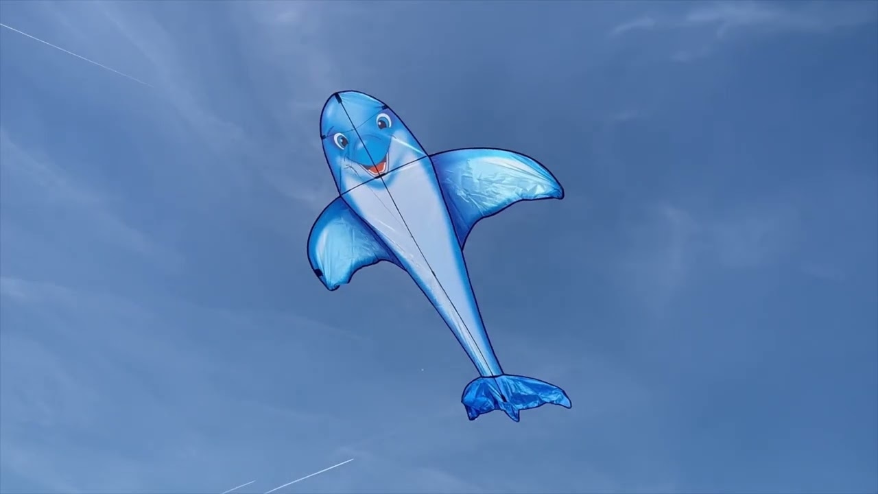 Lietajúci šarkan Dolphin Kite