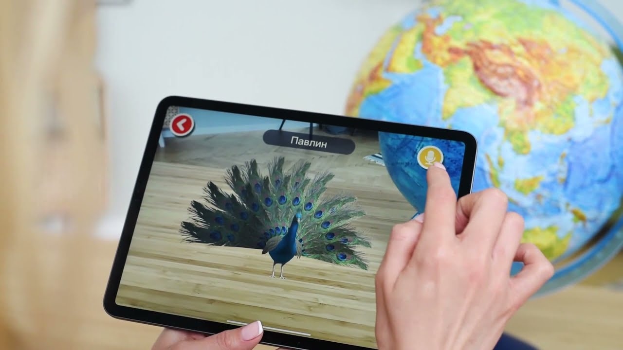 Alayskys glóbus 25cm s reliéfom CZ