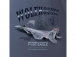 Antonio pánske tričko F-15C Eagle XL