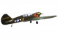 P-40N Warhawk 2,03 m (zaťahovací podvozok) Parrothead