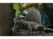 Revell dinosaurus Dimetrodon 1:13 darčeková súprava