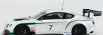 Truescale Bentley Continental Gt3 Goodwood Festival Of Speed 2013 1:43 bielo-zelený