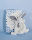 Doudou Darčeková krabička modrá - mini králik 17 cm
