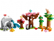LEGO DUPLO - Divoké zvieratá Ázie