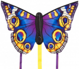 Šarkan Motýľ, fialovo-žltý