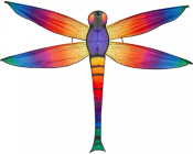 Lietajúci šarkan Dazzling Dragonfly Kite