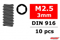 Oceľový inbusový šnek, M2,5x3mm, 10 ks.