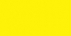 Premium RC - Fluorescentná žltá 60 ml