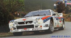 Hasegawa Lancia 037 Team Martini Racing N 5 Winner Rally Tour De Corse 1984 M.alen - I.kivimaki 1:24 /