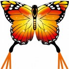 Lietajúci šarkan motýľ Monarcha