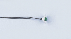 Žiarovčičky 4 mm s káblom – zelené (10 ks)