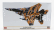 Hasegawa Mcdonnel Douglas F-15dj Eagle Aggressor Tiger Scheme Vojenské lietadlo 1988 1:72 /