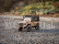 RC auto Land Rover Defender T98 1/12, piesková