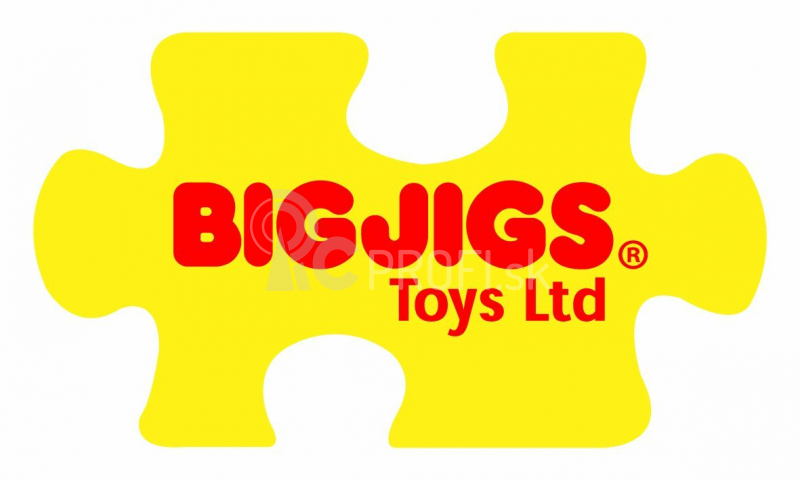 Bigjigs Baby First Twister