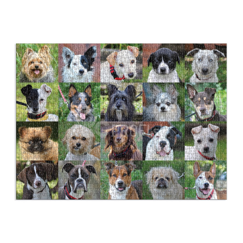 Galison Puzzle Útulok pre psov 1000 dielikov