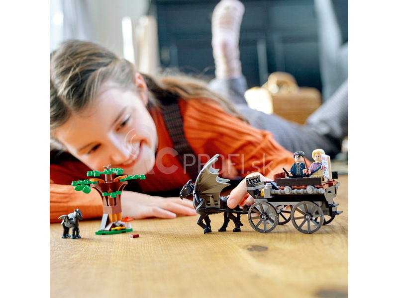 LEGO Harry Potter - Bradavice: Kočiar a testrál