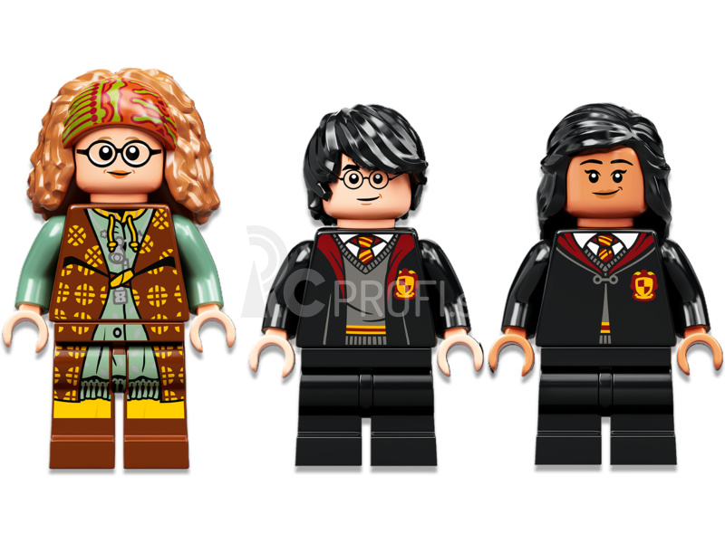 LEGO Harry Potter - Magické momenty z Bradavíc: Hodina jasnovidectva