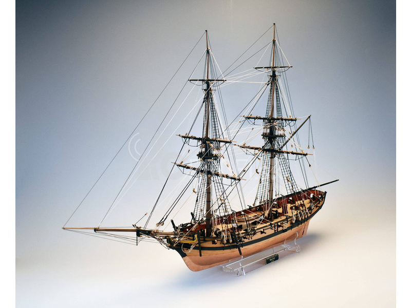 Vanguard Models HMS Speedy 1782 1:64
